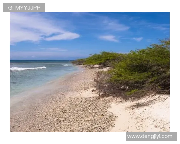 从墨西哥出发：足球明星的起点与全球辉煌之路